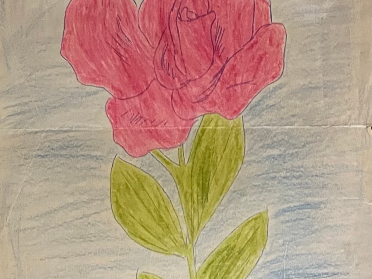 Pink Timothy
