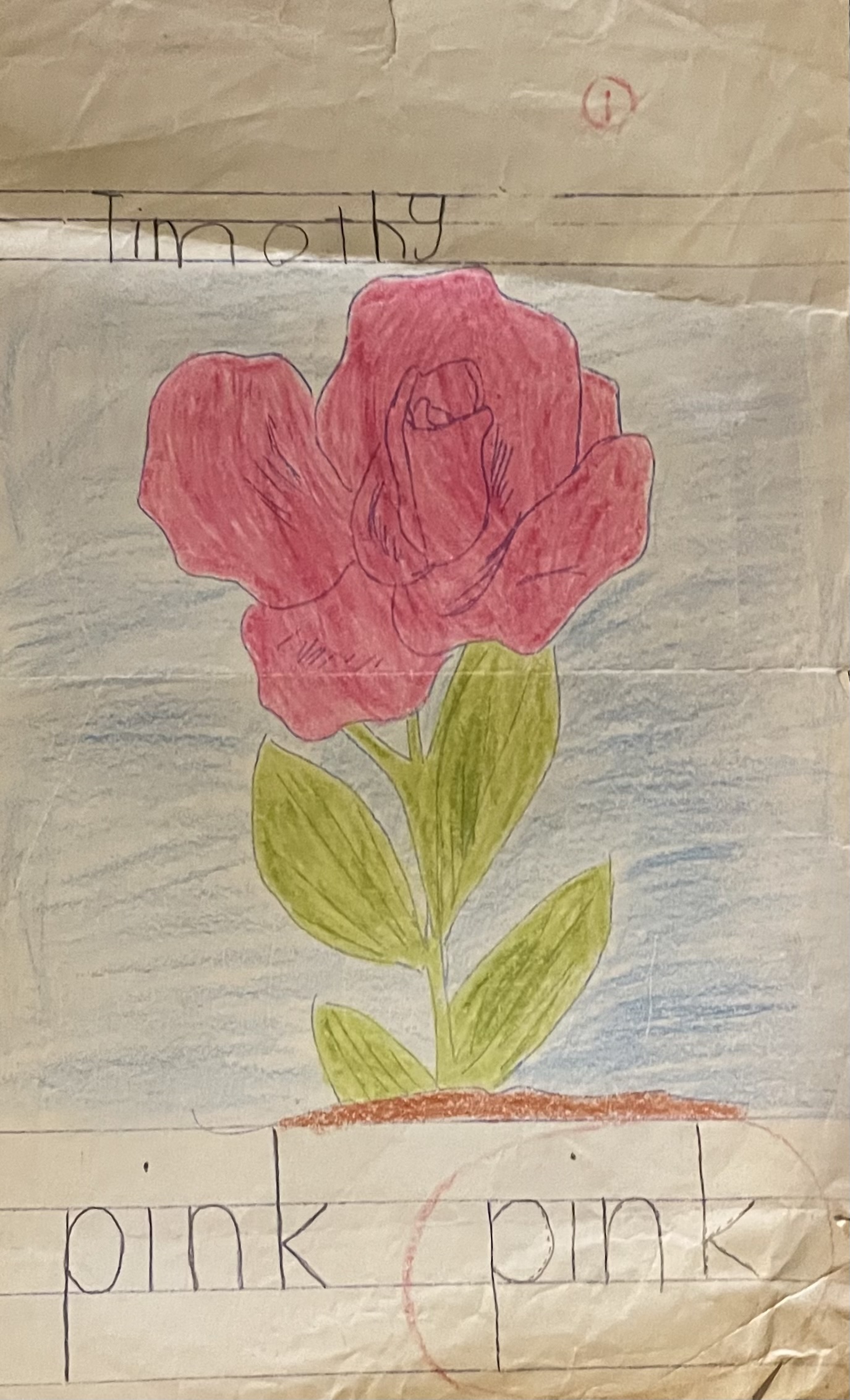 Crayon drawing of pink flower